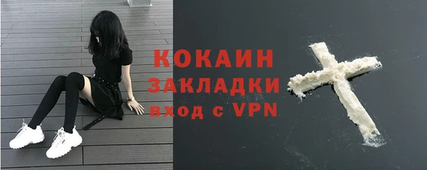 мдпв Майский