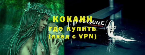 тгк Магас